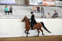 AHANC19_SatPM_4173