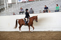 AHANC19_SatPM_4078