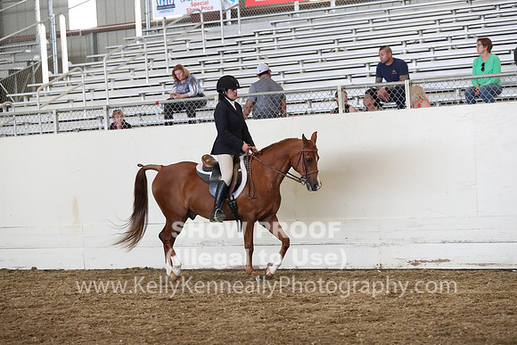 AHANC19_SatPM_4078