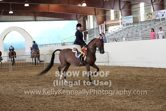 AHANC19_SatPM_4083