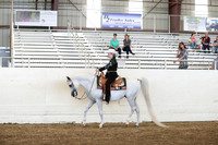 Class 129 Arabian Western Pleasure Championship AAOTR