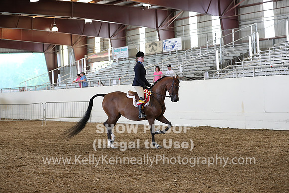 AHANC19_SatPM_4084