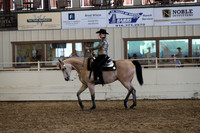 Class 132 HA/AA Western Pleasure Championship