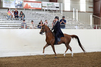 AHANC19_SatPM_4180