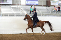 AHANC19_SatPM_4182