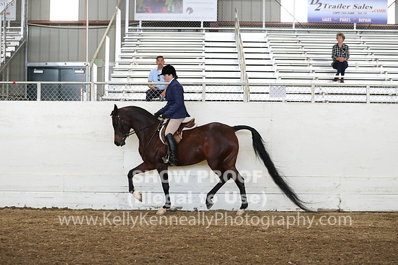 AHANC19_SatPM_4290