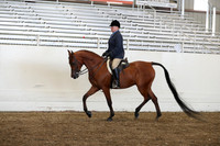AHANC19_SatPM_4301