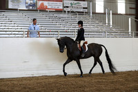Class 134 HA/AA Hunter Pleasure Championship JTR 13 & Under