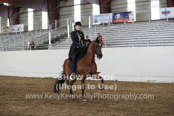 AHANC19_SatPM_4381