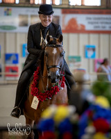 AHANC19_SatPM_4387FB