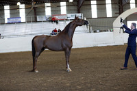 PacSlope19_SatEve_4477