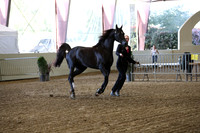 PacSlope19_SatEve_4529
