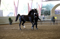PacSlope19_SatEve_4530