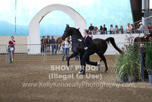 PacSlope19_SatEve_4599