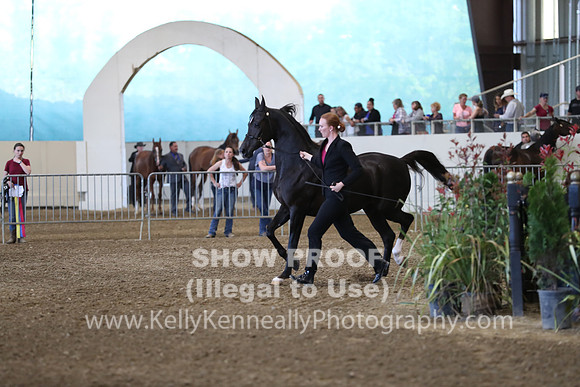 PacSlope19_SatEve_4598