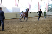 PacSlope19_SatEve_4660