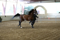 PacSlope19_SatEve_4669