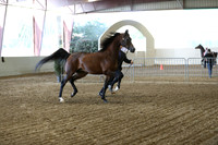 PacSlope19_SatEve_4670