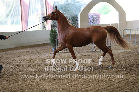 PacSlope19_SatEve_4926