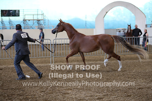 PacSlope19_SatEve_4943