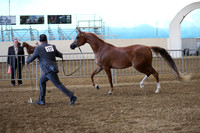PacSlope19_SatEve_4947