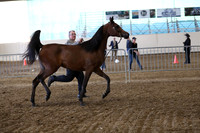 PacSlope19_SatEve_4989