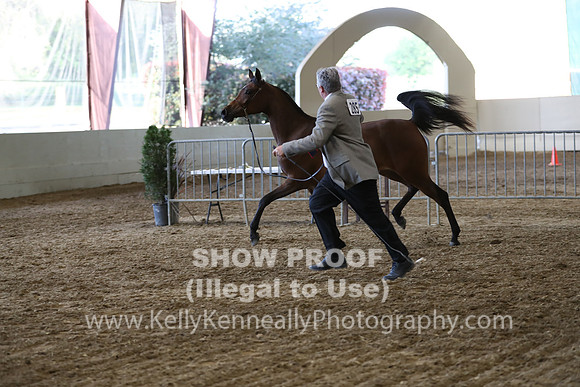PacSlope19_SatEve_4995