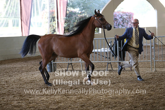 PacSlope19_SatEve_5011