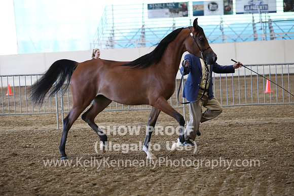 PacSlope19_SatEve_5019