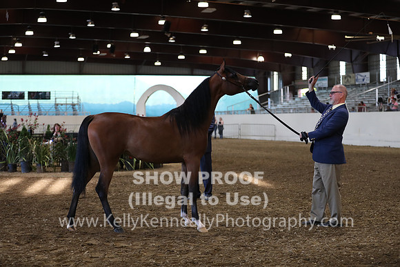 PacSlope19_SatEve_5038