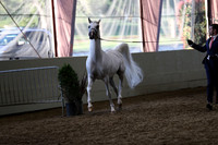 PacSlope19_SatEve_5162