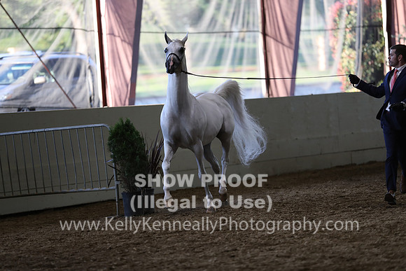 PacSlope19_SatEve_5162