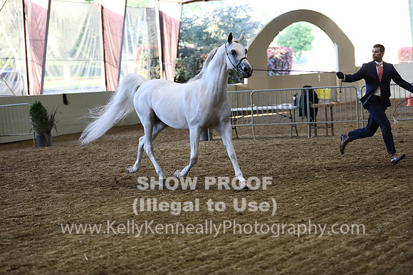 PacSlope19_SatEve_5171