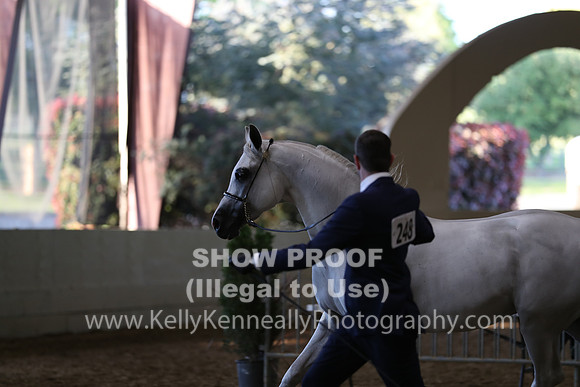 PacSlope19_SatEve_5190