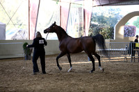 PacSlope19_SatEve_5267