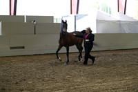PacSlope19_SatEve_5273