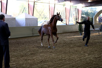 PacSlope19_SatEve_5280