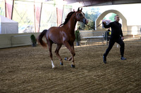 PacSlope19_SatEve_5282