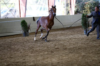 PacSlope19_SatEve_5196