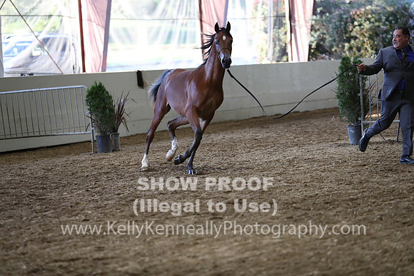 PacSlope19_SatEve_5196