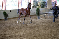 PacSlope19_SatEve_5197