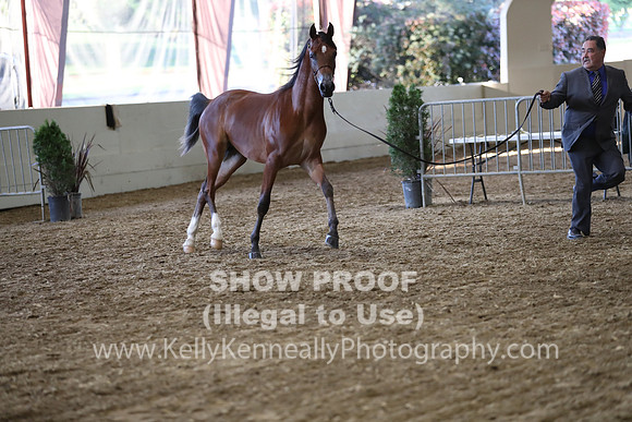 PacSlope19_SatEve_5197