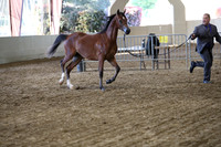 PacSlope19_SatEve_5201
