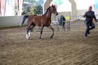 PacSlope19_SatEve_5202