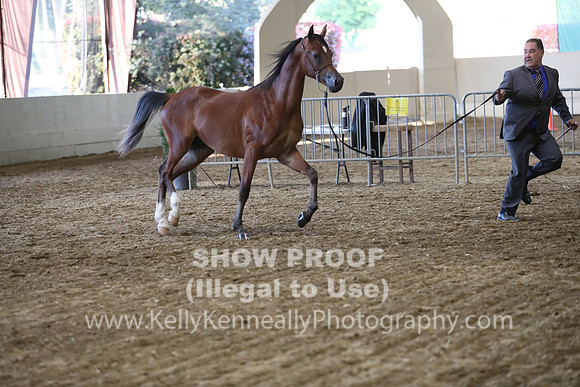PacSlope19_SatEve_5202