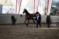 PacSlope19_SatEve_5307