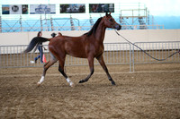 PacSlope19_SatEve_5213