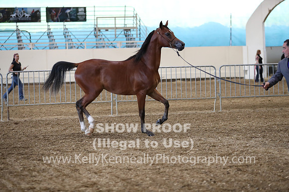 PacSlope19_SatEve_5215