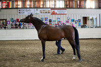 PacSlope19_SatEve_5334