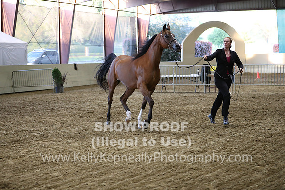 PacSlope19_SatEve_5384